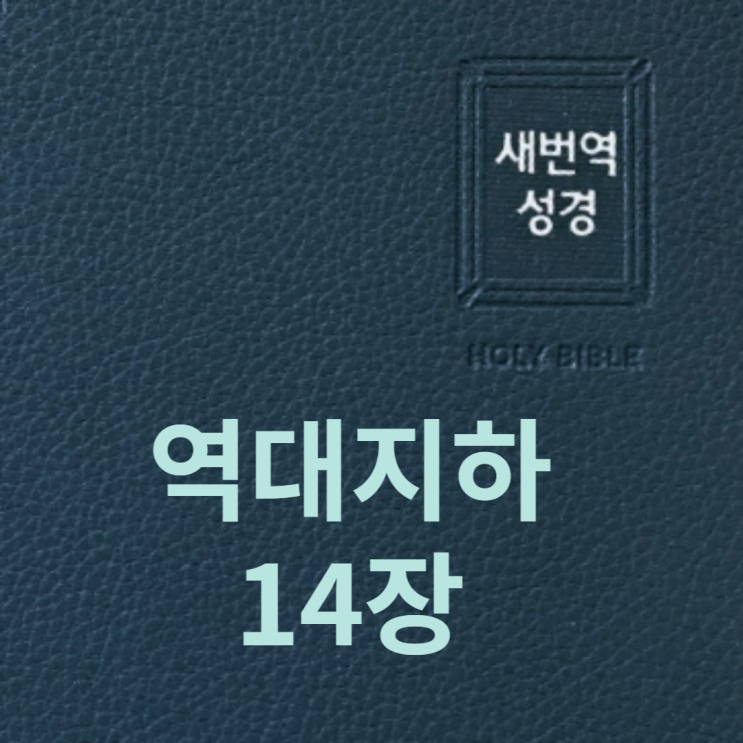역대지하 14장 역대지하 14장