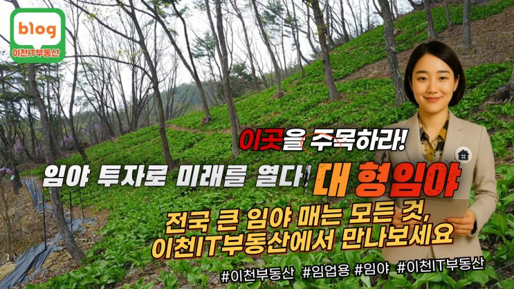   이천IT부동산과 함께하는 대형 임야 투자, 지금 시작하세요! 
