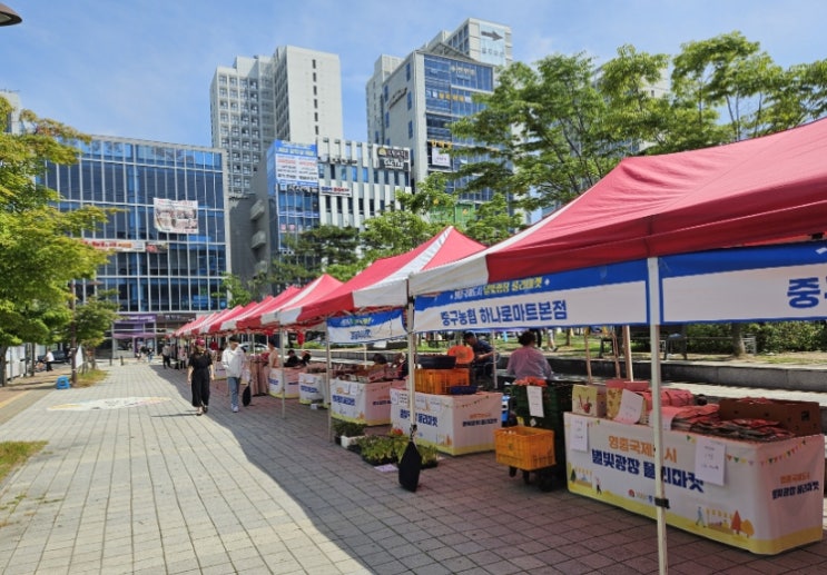  영종국제도시 소통·화합의 장 ‘별빛광장 플리마켓’ 성황리 개장