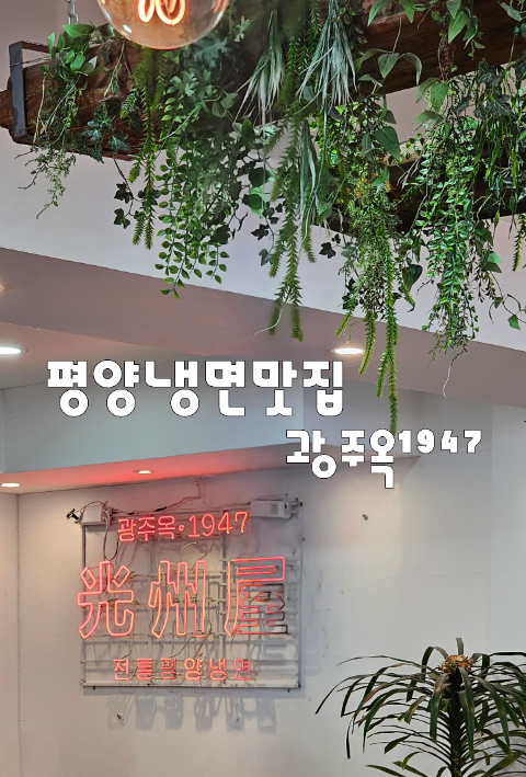 농성동 평양냉면맛집 광주옥 <b>안유성명장</b> 당나귀 귀 셰프