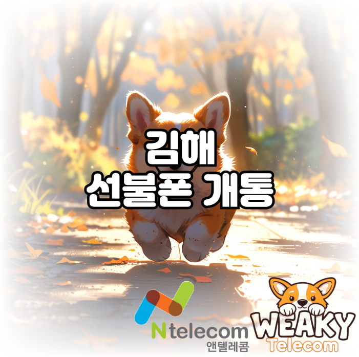  김해선불폰 개통 빠르게 진행하길 원한다면?