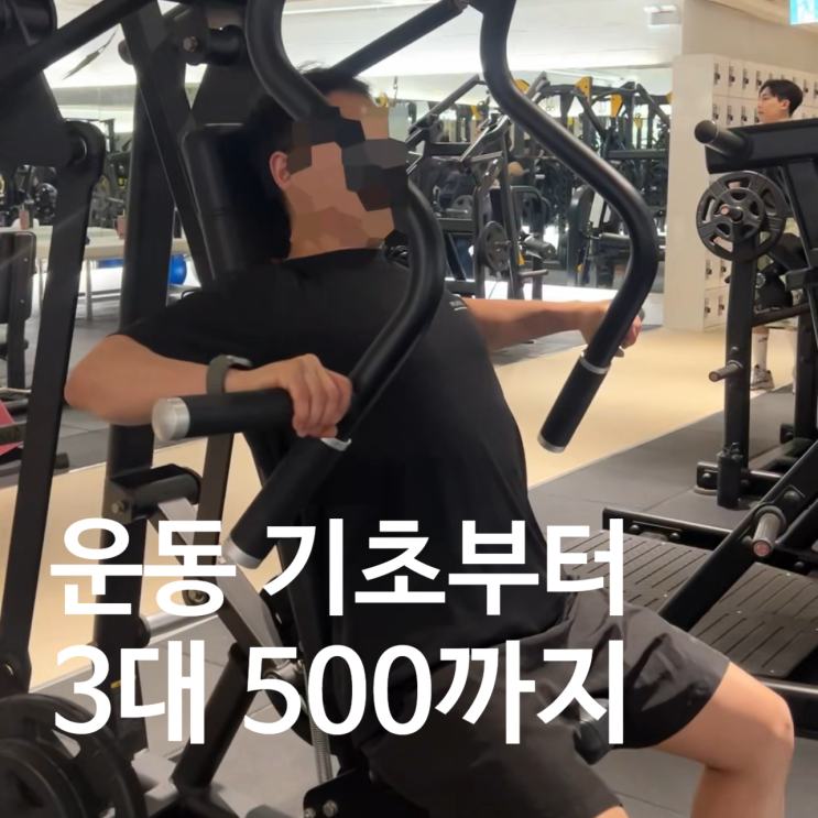  탄현 헬스장 pt로 운동 기초부터 3대 500 준비까지!