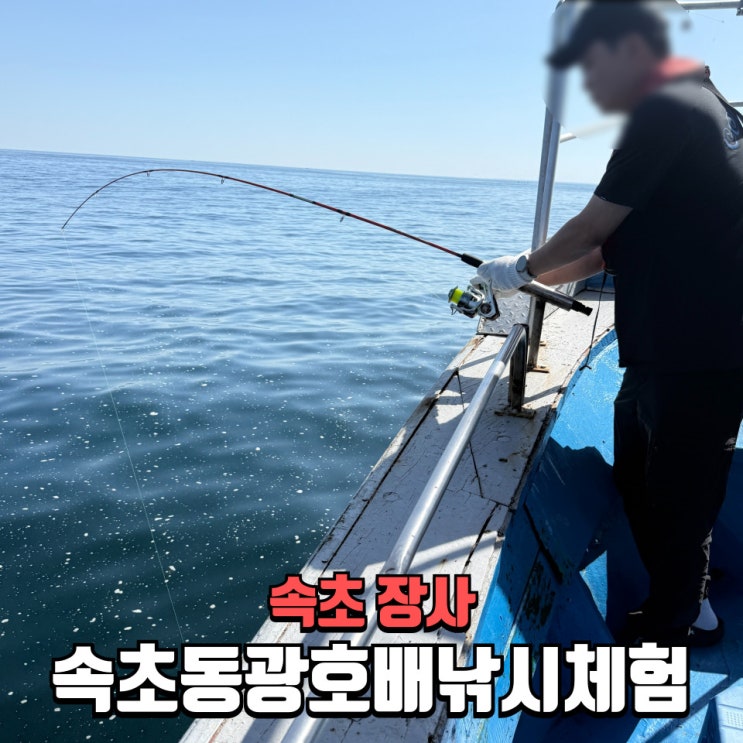  속초 배낚시 체험 추천! 동광호배낚시체험으로 장사항 가자미낚시 이색 데이트까지 