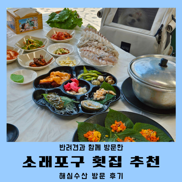  인천 소래포구횟집 해심수산 반려견동반 주차정보
