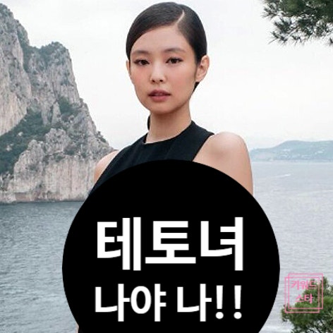  테토녀 실체 공개!이효리→제니까지 싹 다 분석