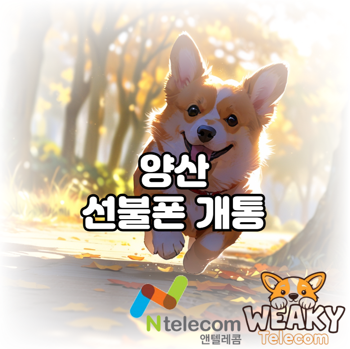  양산선불폰 개통절차를 간단하게 진행해 보자!