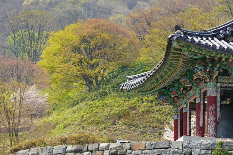 일품양평해장국 정읍신태인점 사진 1