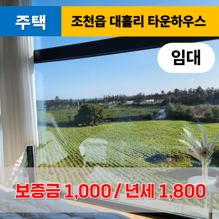  《제주도주택》 조천읍 대흘리 타운하우스 년세 임대
