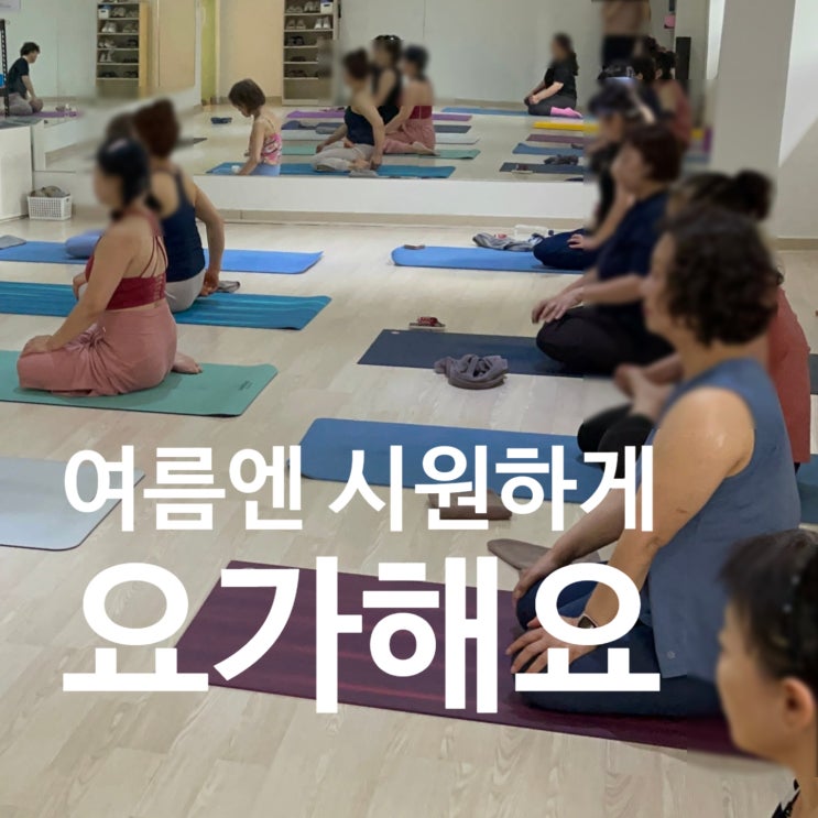  탄현 헬스장 여름엔 요가가 답이다! 레디바디 요가 후기