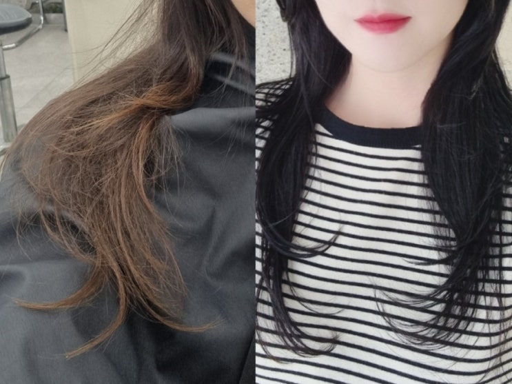  강남역 미용실 추천 아르결 비타디자이너 염색 후기