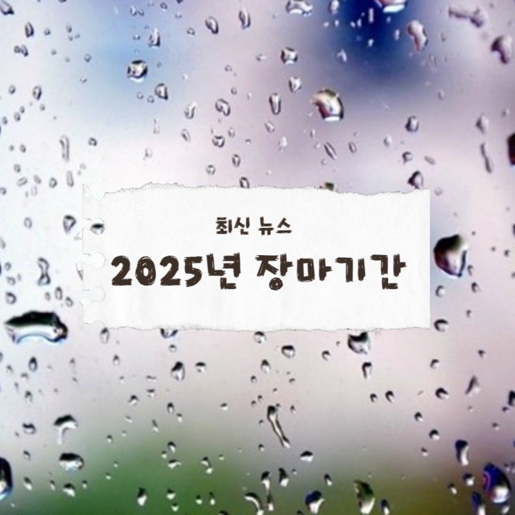  2025년 장마기간 지역별 정리,필수체크