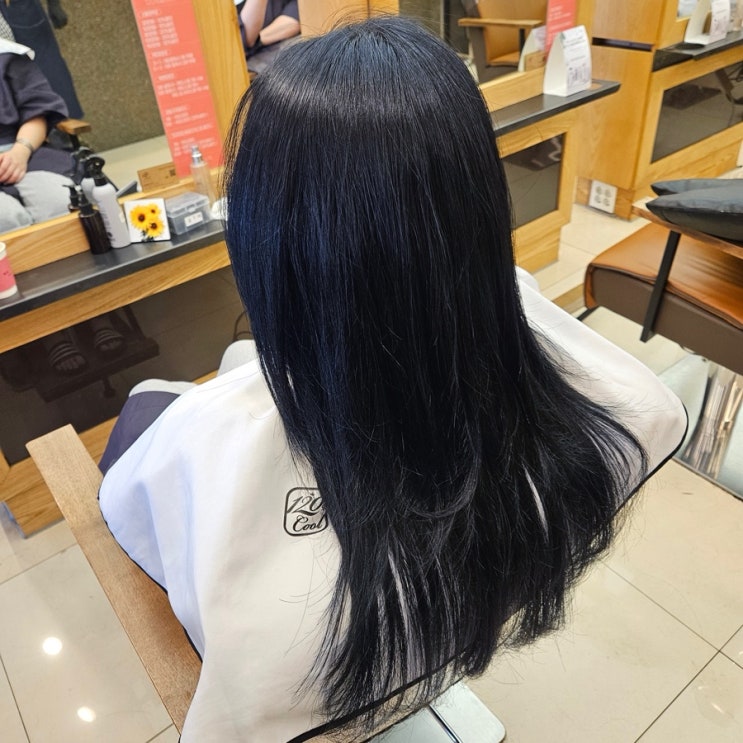   의정부 120% 미용실  블루 블랙 염색 탈색 없이도 쿨톤 완성!