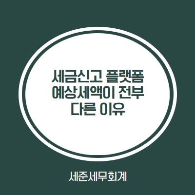  세금신고도 "복불복"? 플랫폼별 예상세액(환급액)이 다른 이유, 세무사가 알려드립니다.