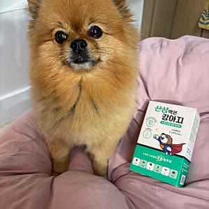 강아지영양제 산삼먹은강아지 노령견 전용 종합비타민 추천