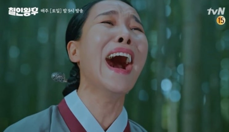 연극 무대에서 넷플릭스까지  ‘신 스틸러’ 배우 <b>차청화</b> 프로필