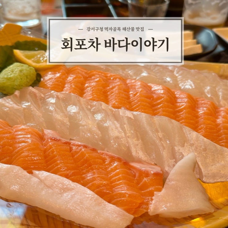  [회포차 바다이야기] 강서구청 먹자골목 회 맛집 추천 내돈내산
