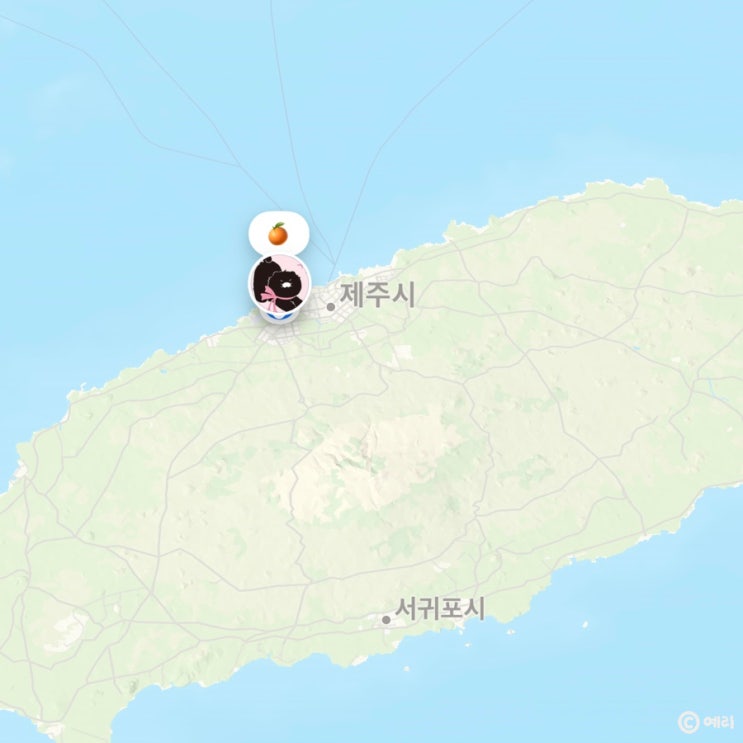  제주 여행 / 무계획으로 1박 2일 짧게 떠난 제주
