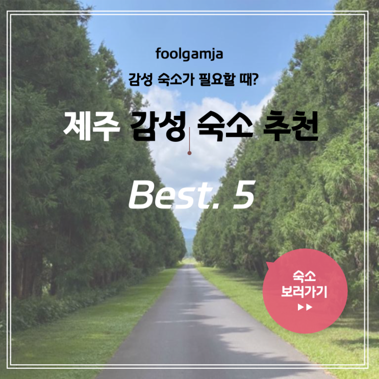  제주도 숙소 추천 BEST 5 - 공항 근처부터 애월 감성 숙소까지!