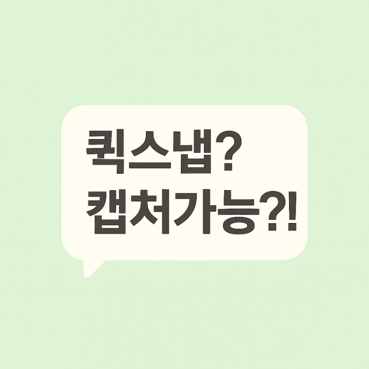  퀵스냅 캡처해도 알림이 안 간다구요?! 퀵스냅 vs 인스타그램 스토리 비교 (시니어도 쉽게 배우는 디지털 두걸음 특강)