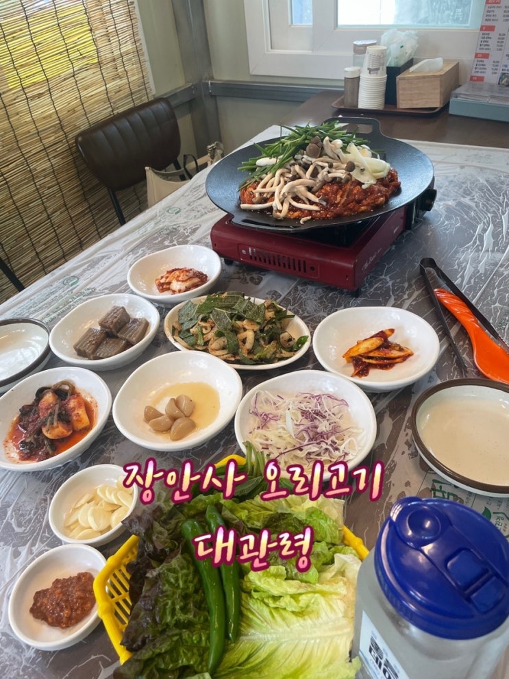 부산/기장)부산 장안사 방갈로 오리고기 맛집 대관령 / 시원한 계곡과 족구장 있어요!
