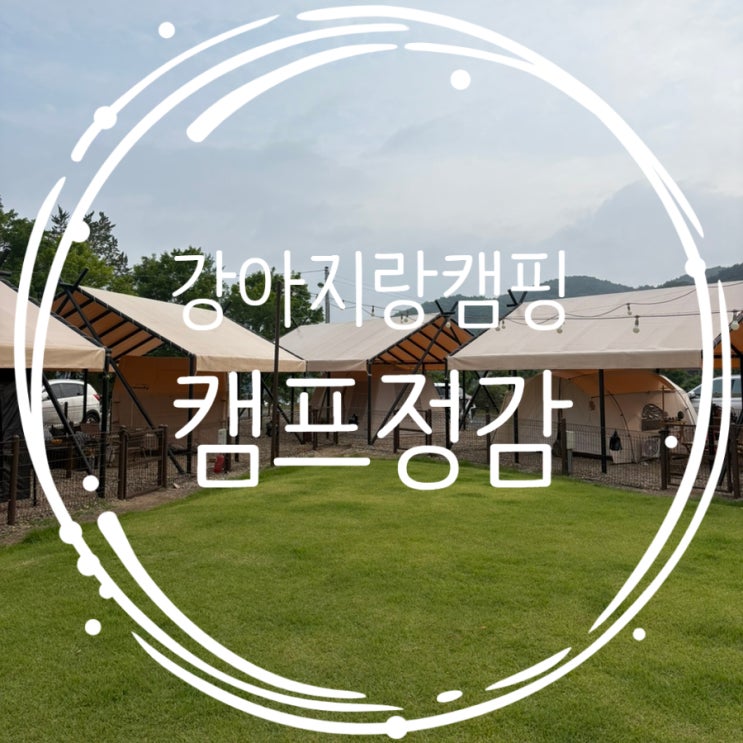  캠프정감 대형견도 가능한 애견전용캠핑장 두번째 방문후기
