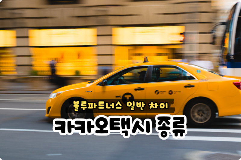 카카오택시 블루파트너스 일반 차이 가격 알아보기