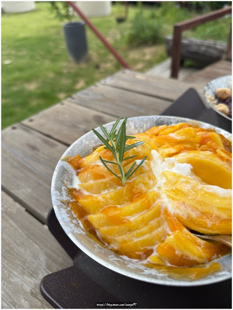 천안카페 애견동반 가능한 브런치맛집 에이게이트카페