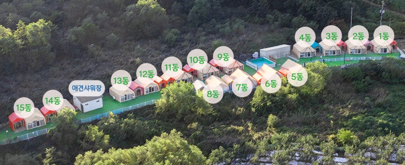 사진 5