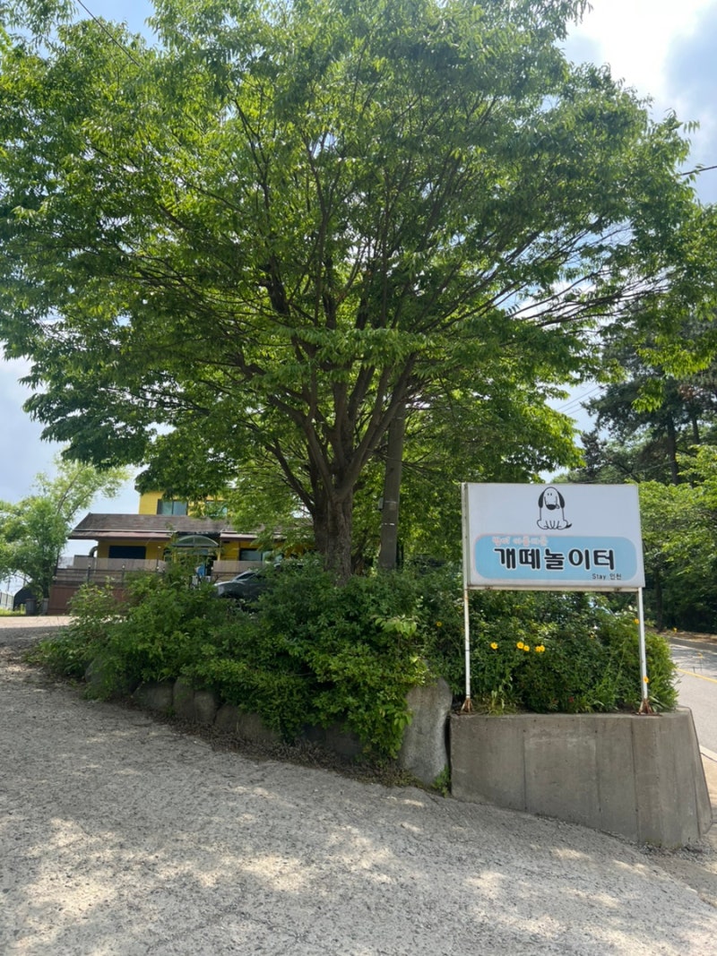 개떼놀이터 인천점
