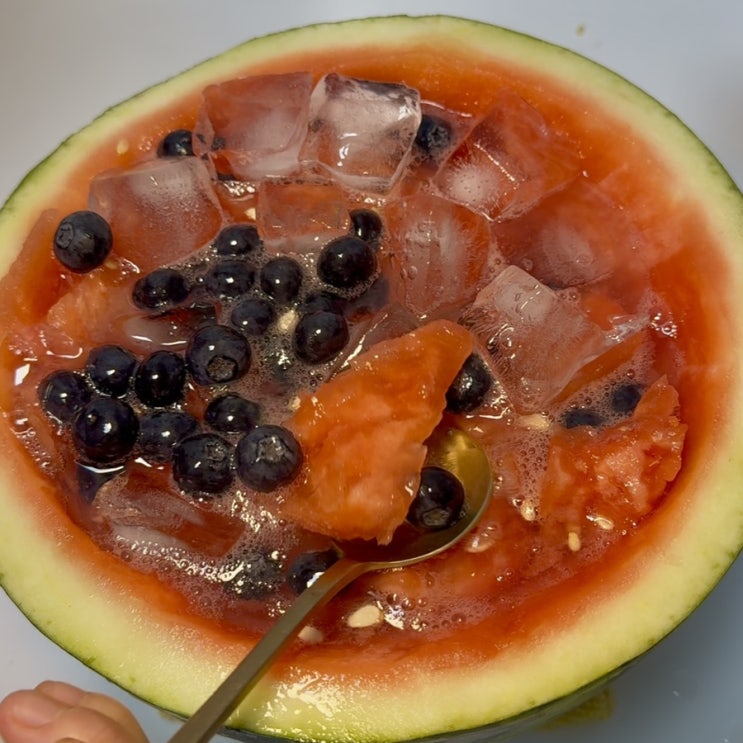  무농약 당일수확! 칠갑산블루베리 맛본 후기, 블루베리 수박화채 레시피까지!