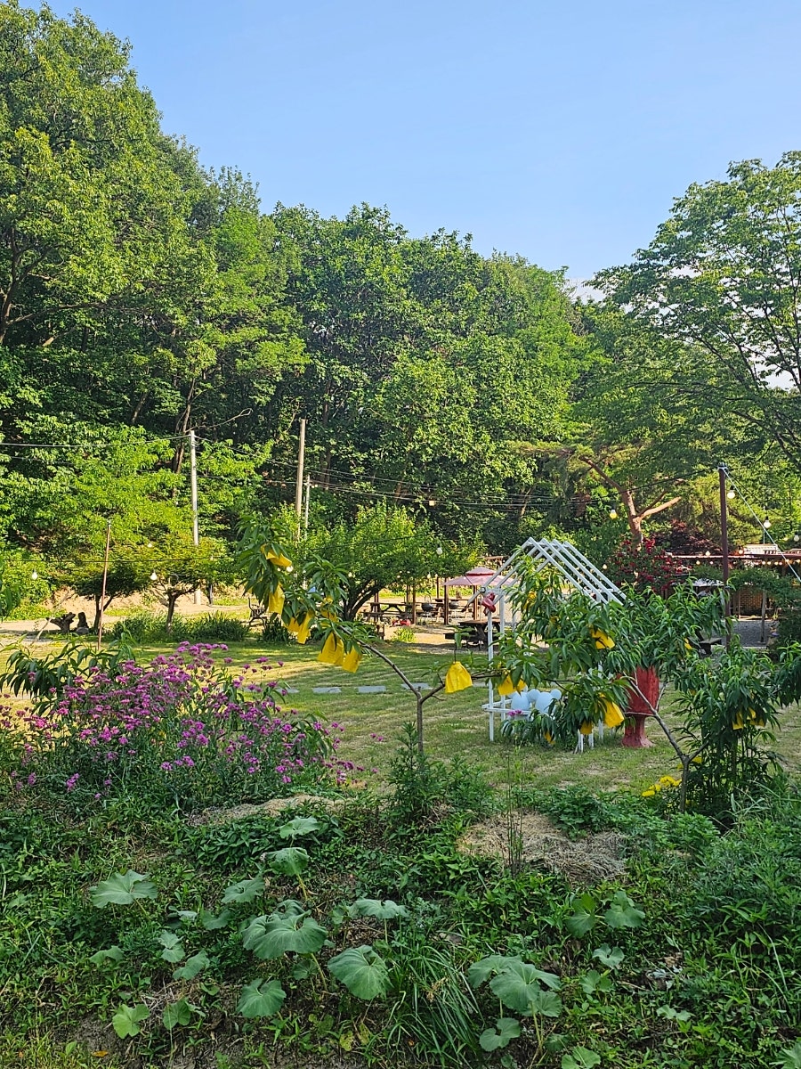 황금가든 사진 2
