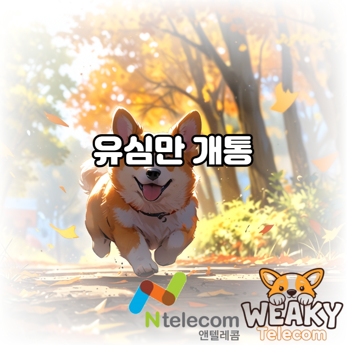  유심만 개통하여 쓰던 폰 그대로 알뜰폰을 사용하고 싶다면?