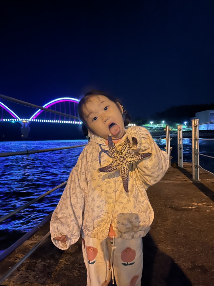  밤낚시 하러 수원에서 태안 안흥항으로