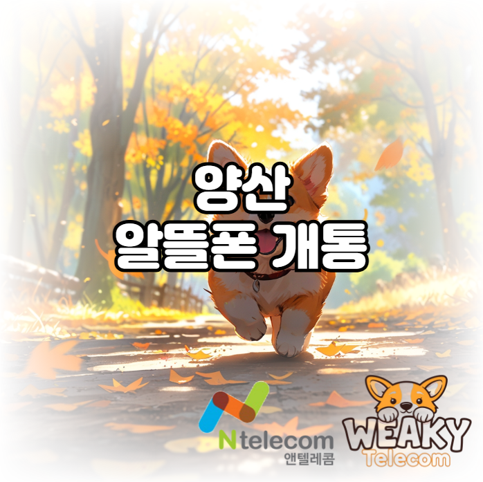  양산알뜰폰 개통 쉽고 빠르게 진행하기 위한 방법은?