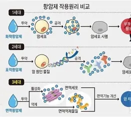 암 치료의 부작용 관리