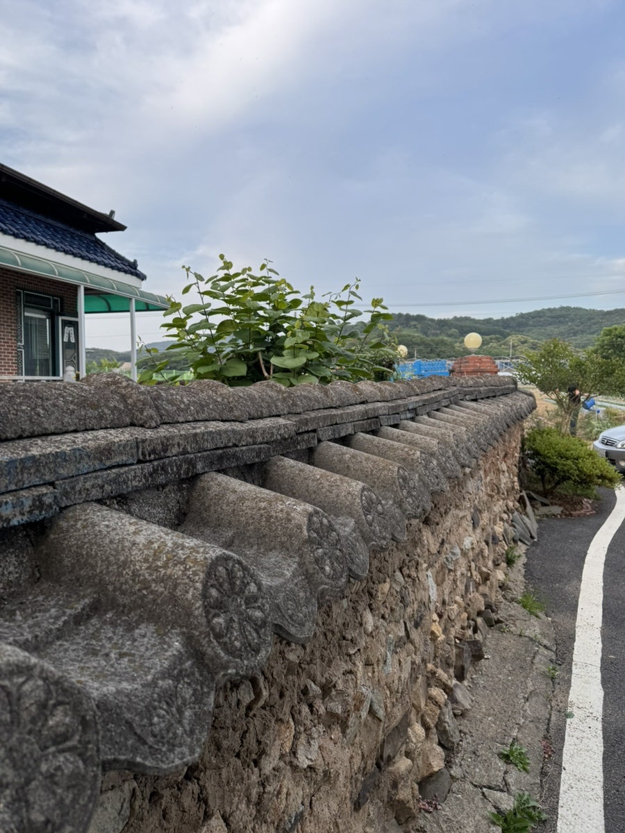 샘안골 사진 2