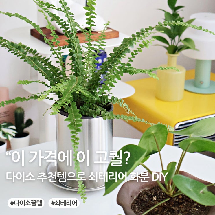  “이 가격에 이 고퀄? 다이소 추천템으로 쇠테리어 화분 만들기