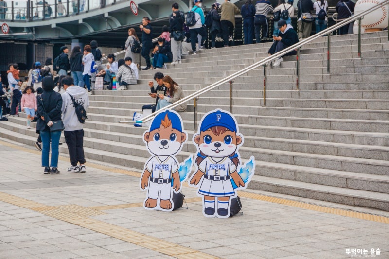 불꽃야구 예매 꿀팁, 이것만 알면 성공! 3 SE 345f4b7f 5643 4c1f a48a 546866b64157