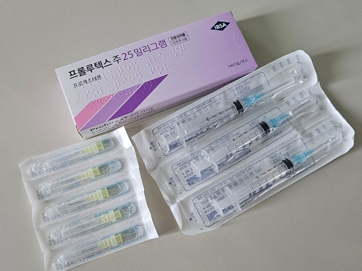 13. 냉동배아이식, 질정제 및 프롤루텍스 주사 일정 기록
