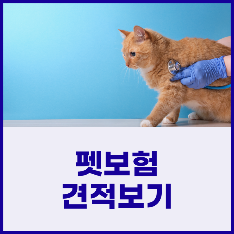 애견보험 추천 모두 꼼꼼하게 비교해보는 것이 중요합니다