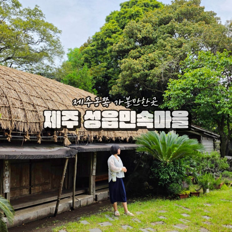  제주도 표선 가볼만한곳 성읍민속마을 입장료 제주동쪽 여행코스