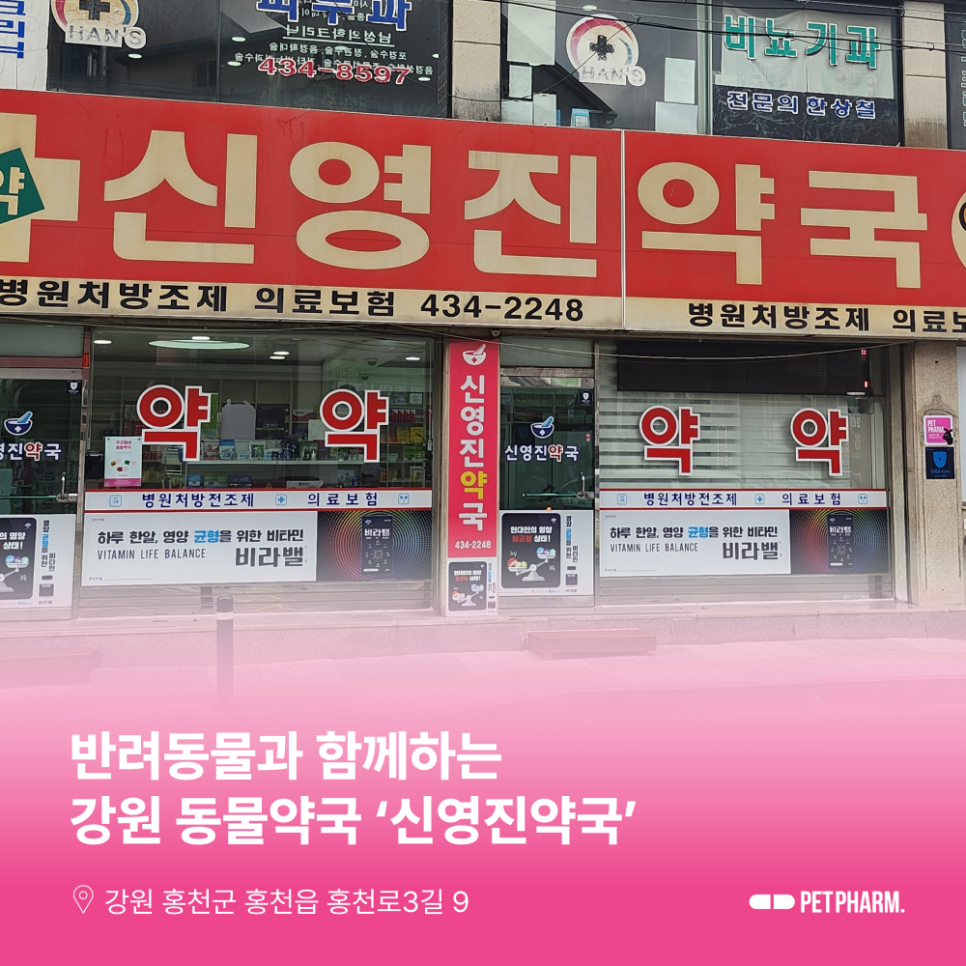 신영진약국 사진 1