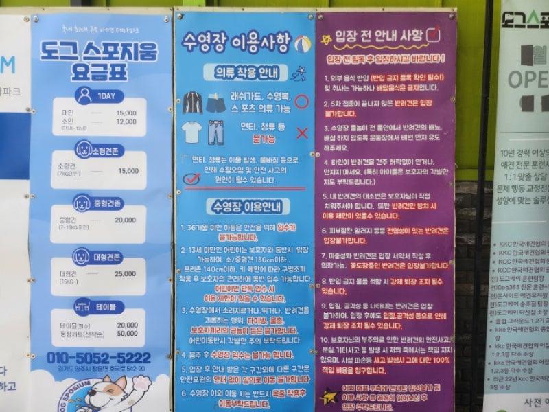 사진 7