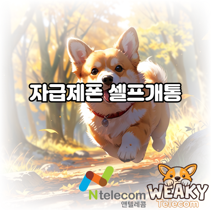  자급제폰 셀프개통 진행 방법을 알고 싶다면?
