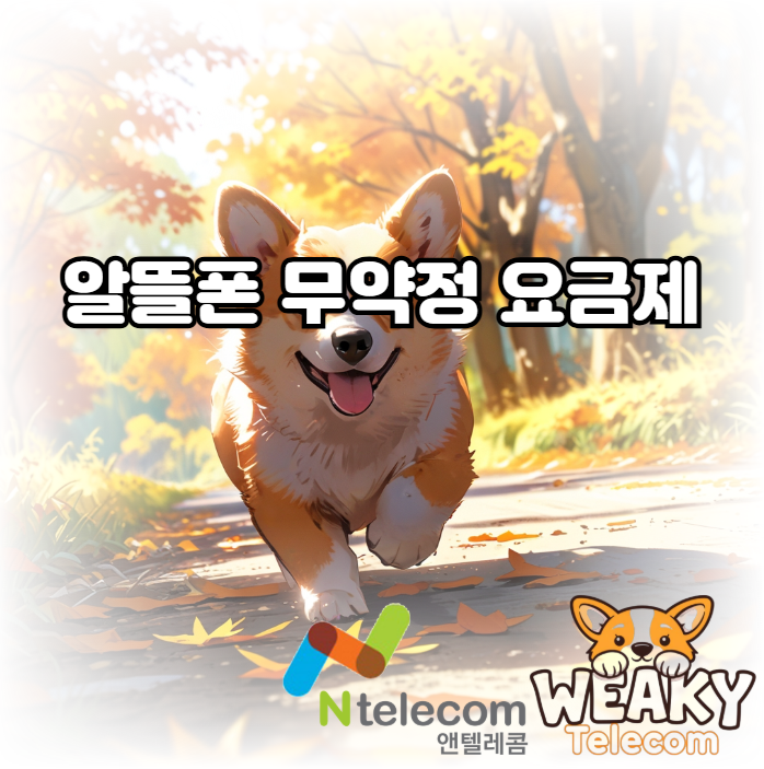  알뜰폰 무약정 요금제 개통으로 자유롭게 요금제를 사용해 보자!