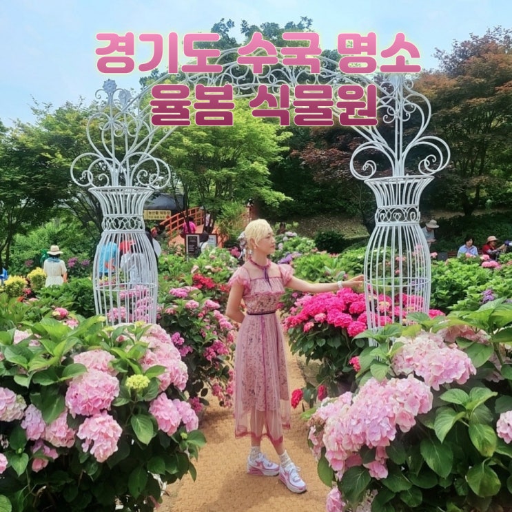  율봄식물원 수국축제 경기도 광주 가볼만한곳 입장료 주차 포토존 정리