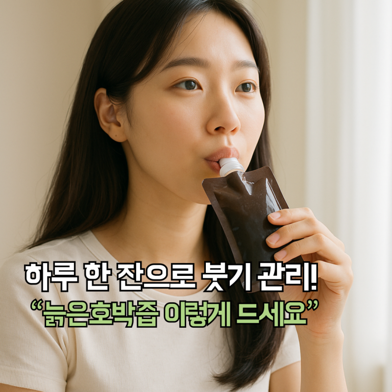 늙은호박즙효능 다이어트 효과와 만드는법