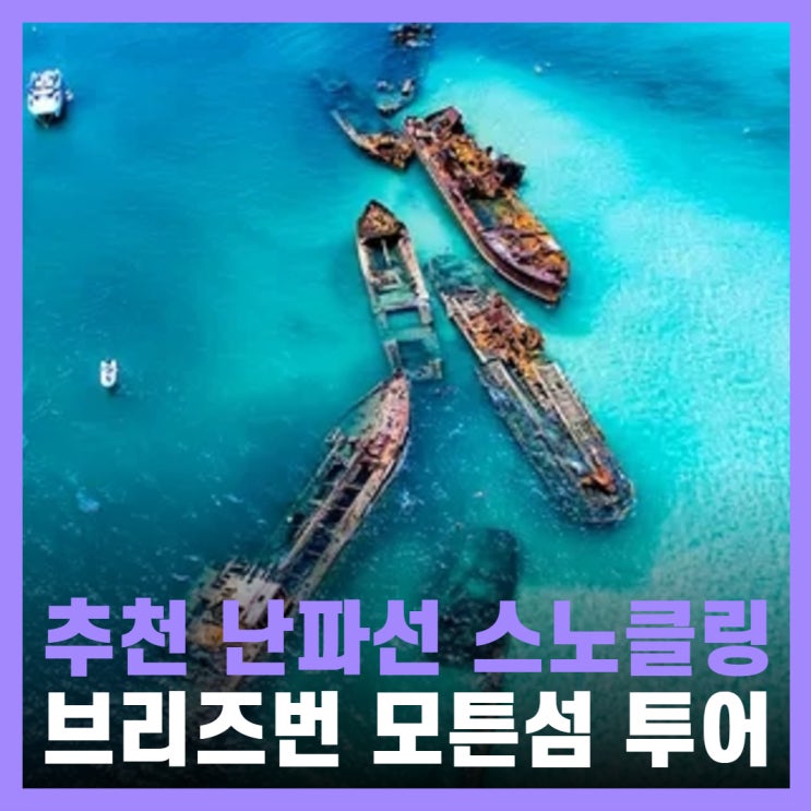  호주 브리즈번 여행 모튼섬 투어 난파선 스노클링