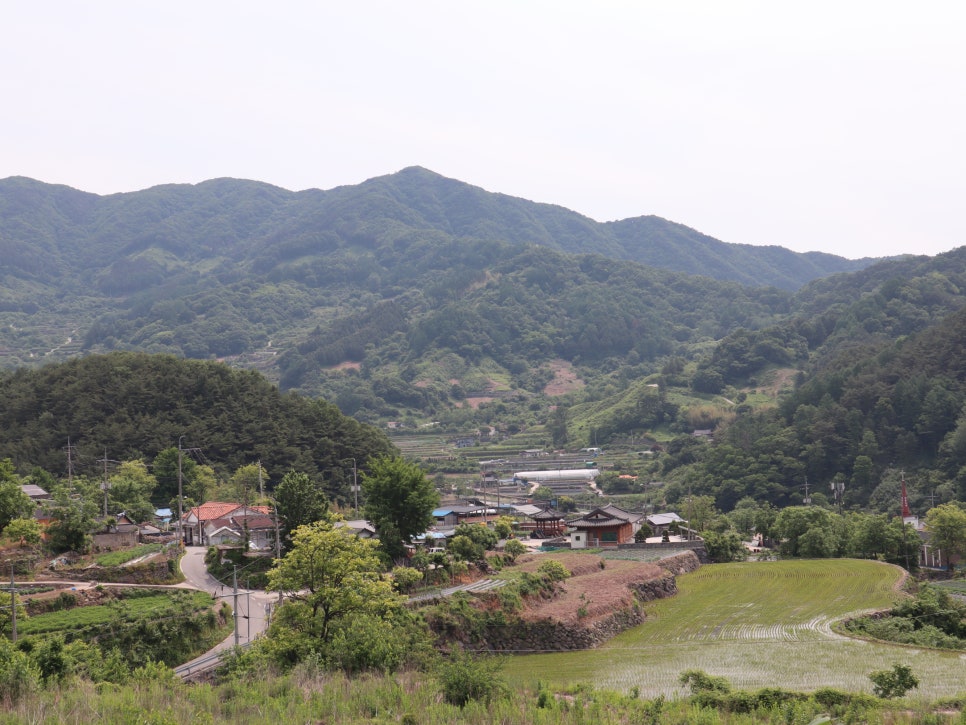 구시락재 사진 5