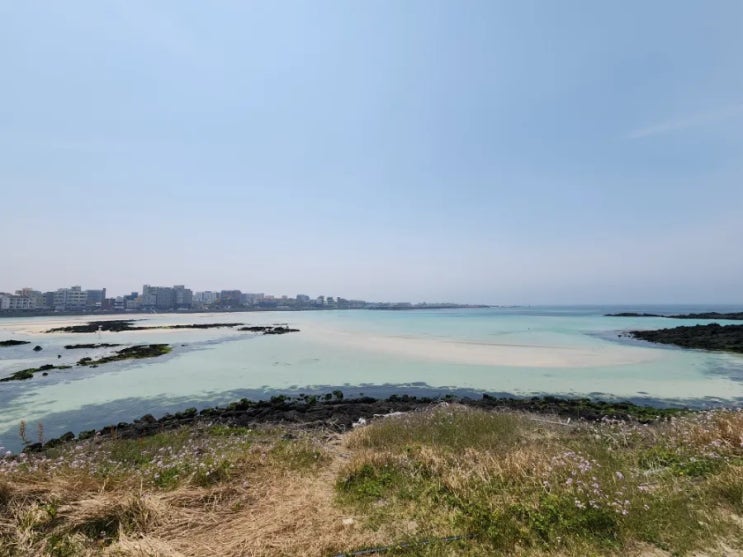  제주도 흑돼지 맛집 도민상회 내돈내산 후기~ |제주도의 마지막 여유를 즐기며~ | 제주 동쪽 맛집 | 제주도 월정리 맛집 도민상회